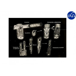 Coltello innesto manico legno\acciaio inox