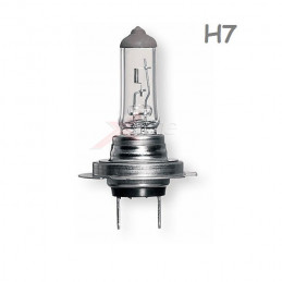 LAMPADINA AUTO H7 12V 55W PX26D