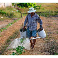 Tutto la raccorderia per l'irrigazione di giardini, orti e frutteti