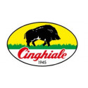 CINGHIALE